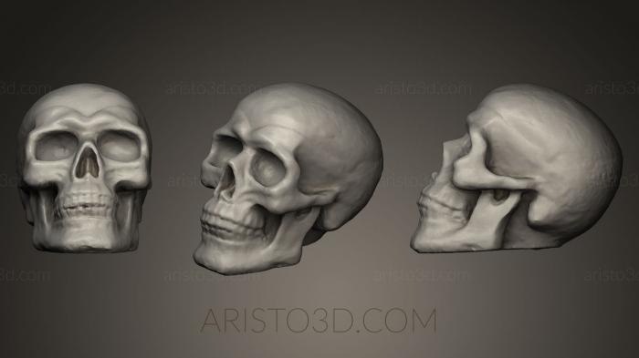 Anatomy of skeletons and skulls (ANTM_0044) 3D model for CNC machine